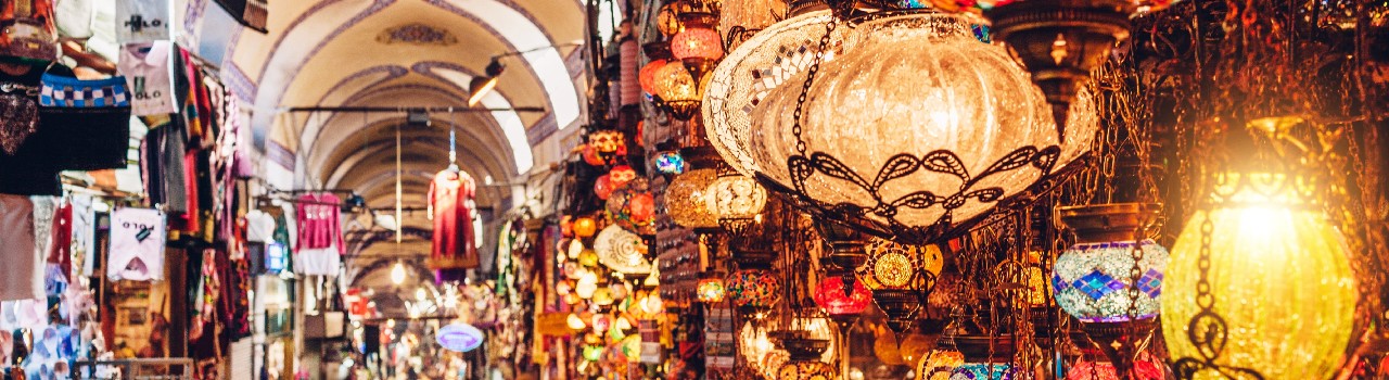 Istanbul Bosphorous Half Day Group Tour Day 1