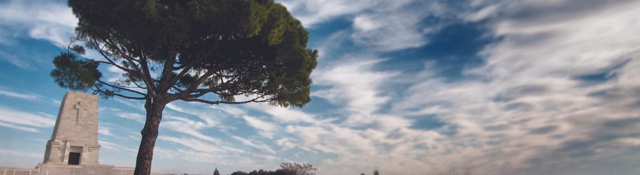 Gallipoli Experience Private Tour Day 1